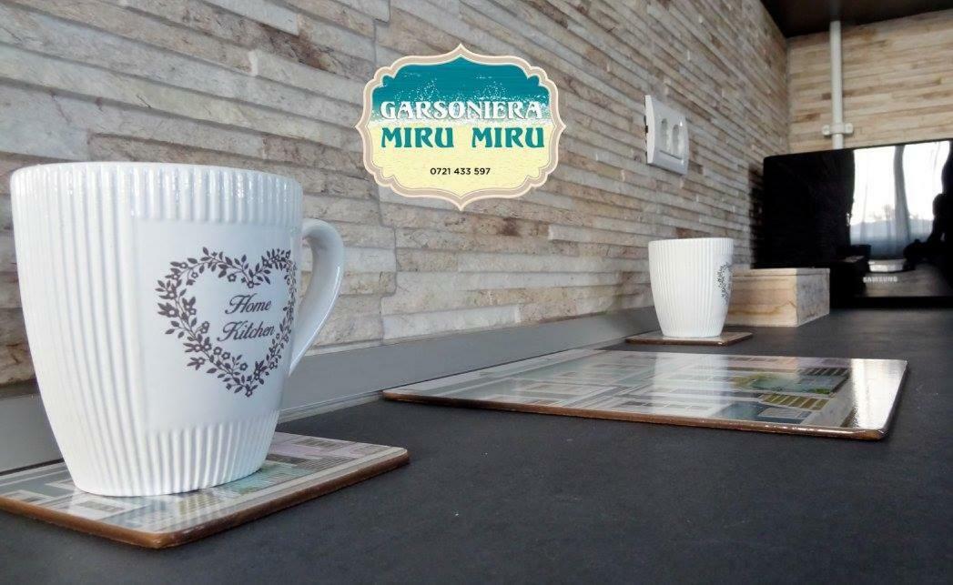 Apartamento Garsoniera Miru Miru Năvodari Exterior foto